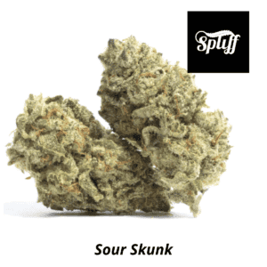 Fresh Sour Skunk cannabis buds for sale at Dispensary.
