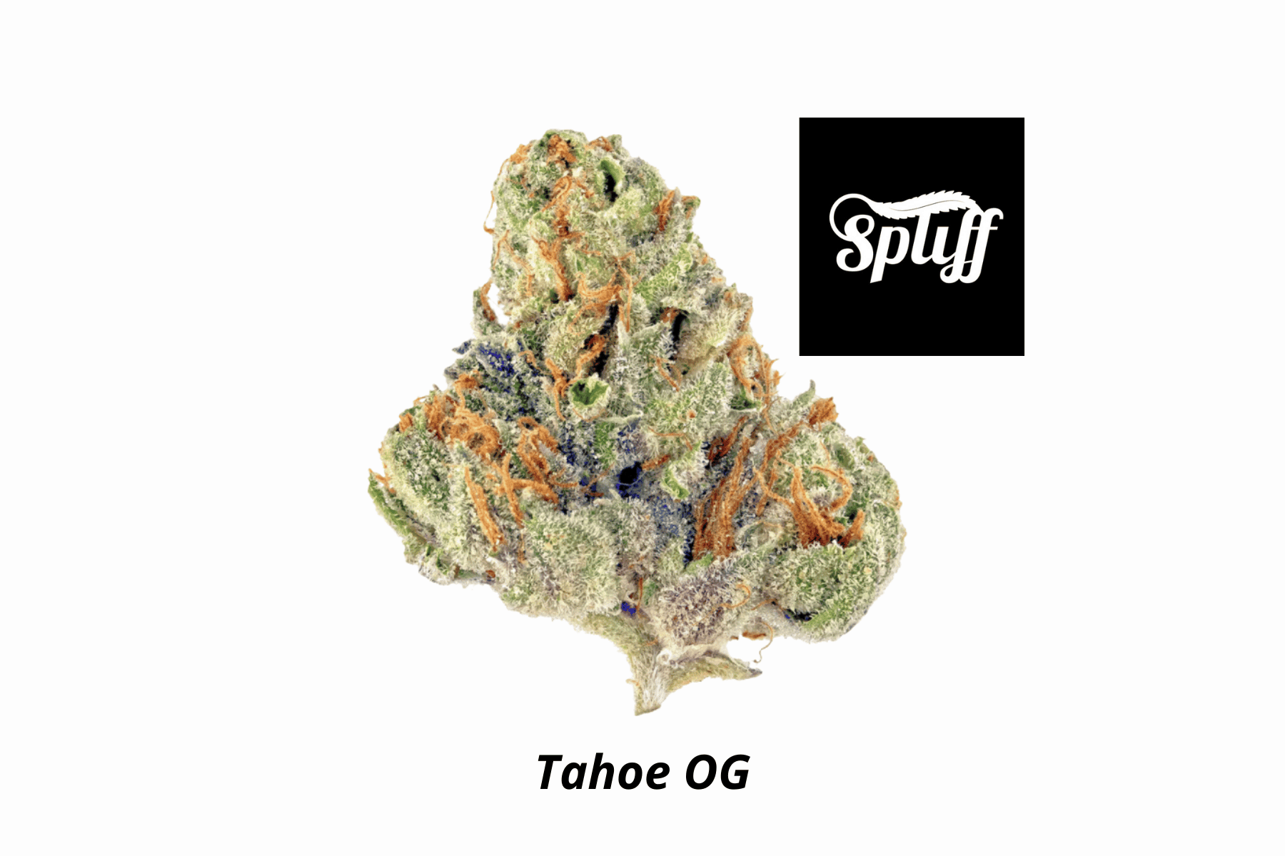 Tahoe OG Cannabis Strain Close-up of Tahoe OG cannabis bud at Spliff Nation Dispensary.