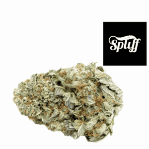 High-quality cannabis flower for sale at Spliff Nation Dispensary in Los Angeles.