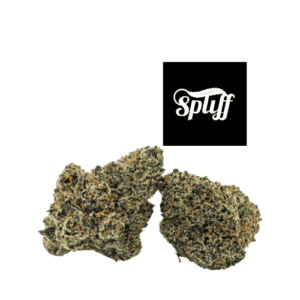 Premium cannabis buds at Spliff Nation dispensary in Los Angeles, CA