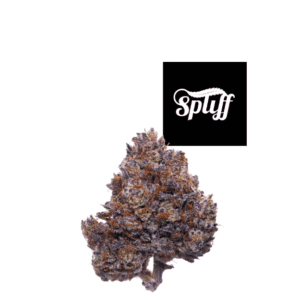 Premium cannabis bud at Spliff Nation Dispensary in Los Angeles, CA
