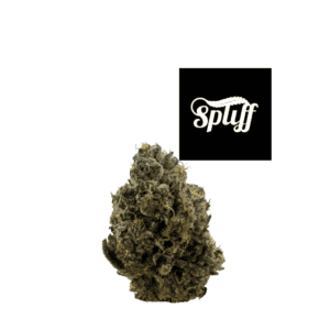 Premium cannabis bud at Spliff Nation Dispensary in Los Angeles, CA