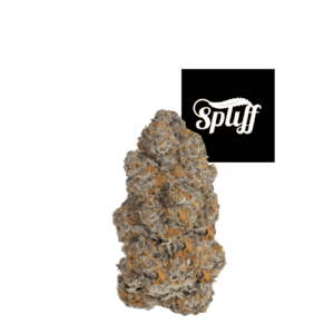 Premium cannabis bud from Spliff Nation Dispensary in Los Angeles.