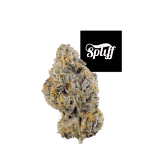 High-quality cannabis bud at Spliff Nation Dispensary, Los Angeles.