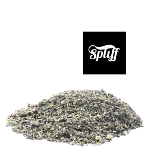 Premium Gelato Shake hybrid cannabis flower at Dispensary.