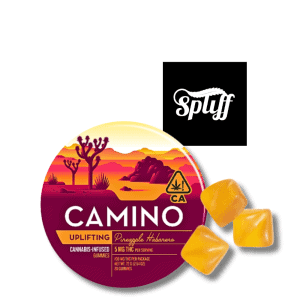 Kiva Camino Uplifting Pineapple Habanero Gummies 100mg THC cannabis gummies with tropical pineapple and mild spice flavor in Los Angeles, CA