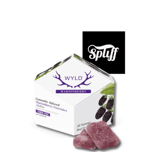 WYLD Marionberry Indica Gummies 100mg THC at Spliff Nation Dispensary Los Angeles, CA